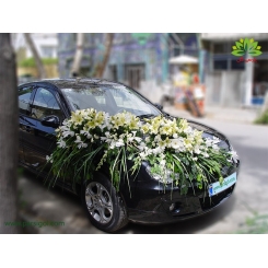 ماشین عروس پر گل با گل سفید کد CR116