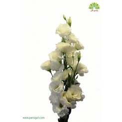 دسته گل لیسیانتوس سفید