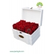 جعبه گل صندوقچه چوبی رز یاقوتی کد DF02705